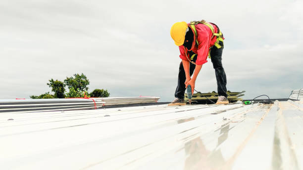 Best Emergency Roof Repair Services  in Clifton Heights, PA