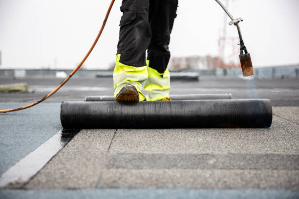 Best Asphalt Shingle Roofing  in Clifton Heights, PA
